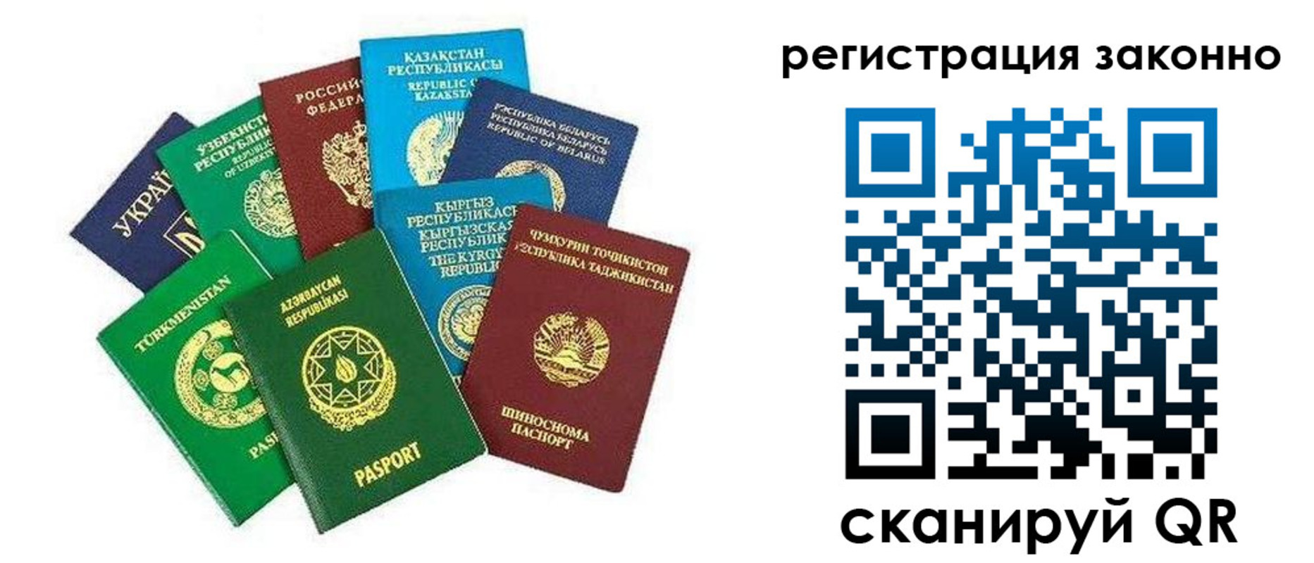 прописка 2025 в Жуковском
